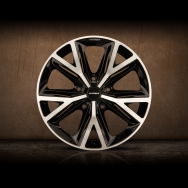 DUX7_22